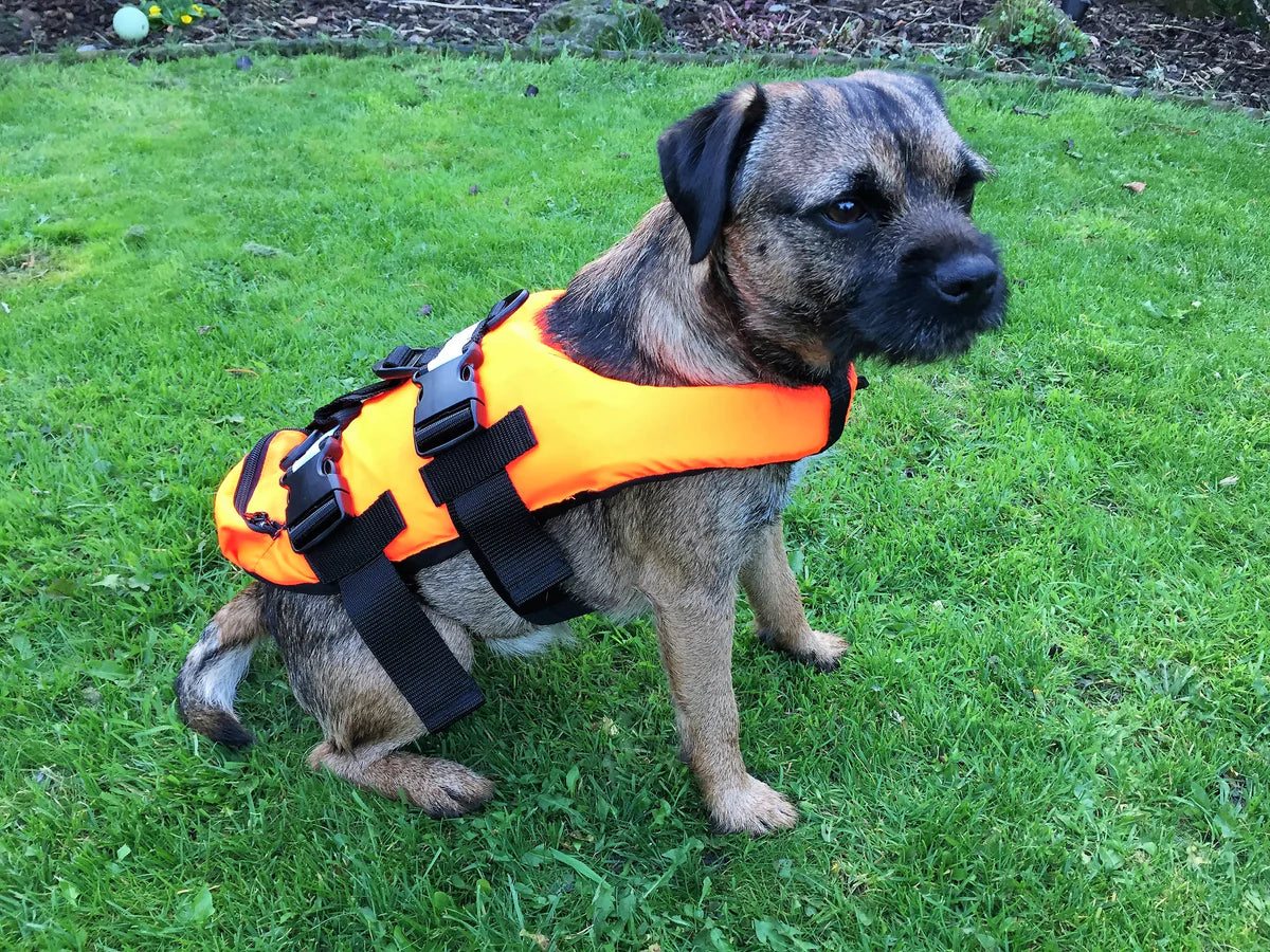 RIBER_Pet-Buoyancy-Aid-02-Excel